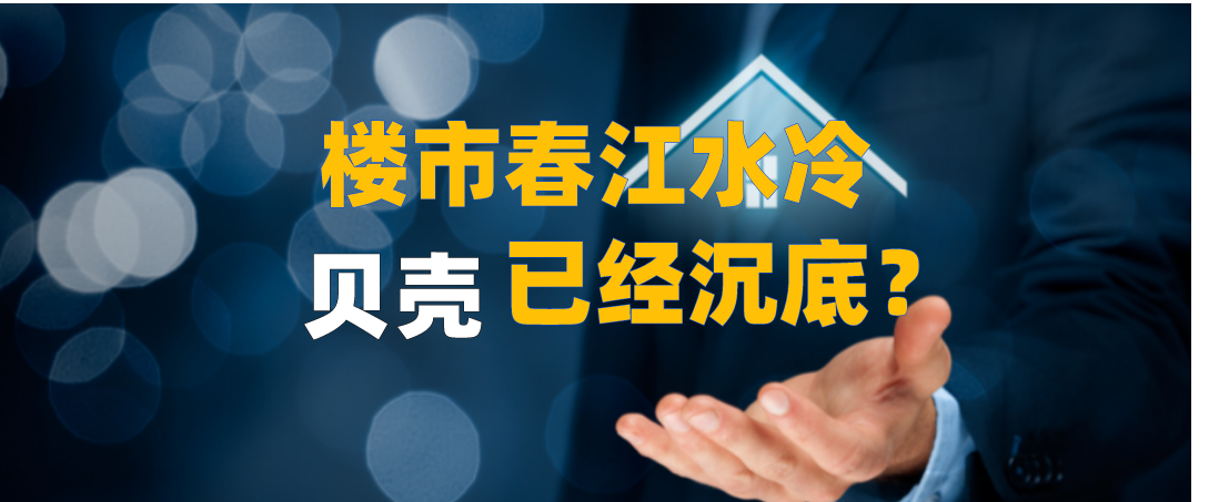 不想躺平的贝壳却没能翻身 不想躺平的贝壳却没能翻身