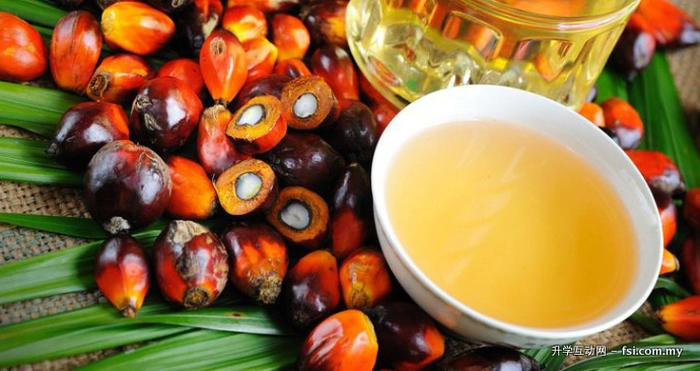 马来西亚出口棕榈油到印度占比增至55%