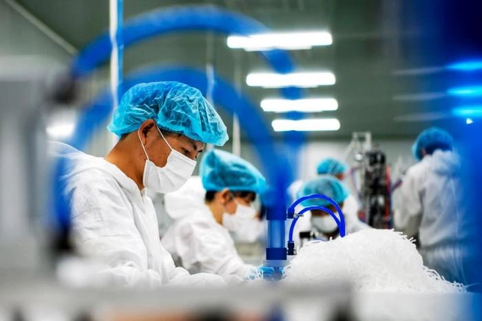 7350311.jpg 7350311.jpg