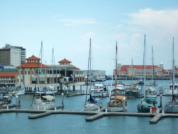 9236486.jpg 9236486.jpg