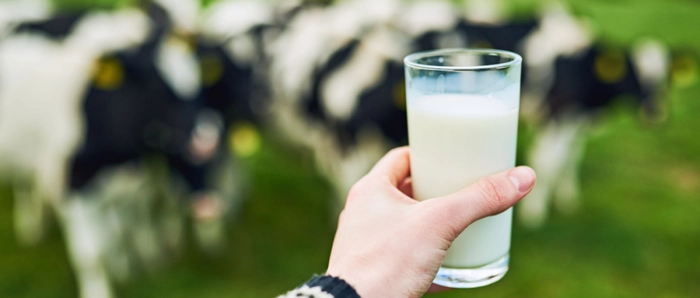 伊利蒙牛大战正酣,其他诸侯偷袭君临城? 伊利蒙牛大战正酣,其他诸侯偷袭君临城?