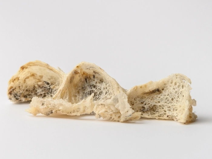 越南正努力出口燕窝到中国 越南正努力出口燕窝到中国