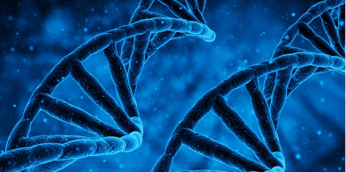 辉瑞的基因疗法更具有竞争力 辉瑞的基因疗法更具有竞争力