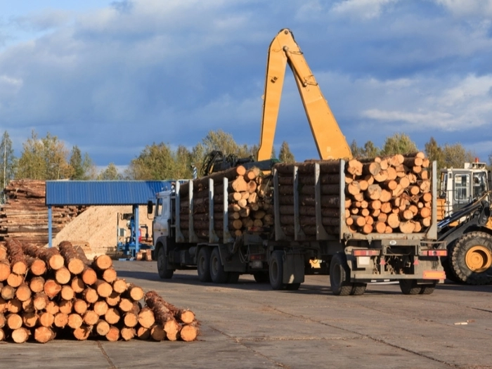 柬埔寨2022林业出口下降 柬埔寨2022林业出口下降