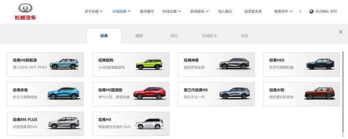 长城汽车，出海的钱好赚吗？