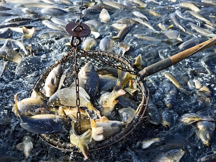 日本:农林水产品与食品出口额创历史新高  达1.4万亿日元 日本:农林水产品与食品出口额创历史新高  达1.4万亿日元