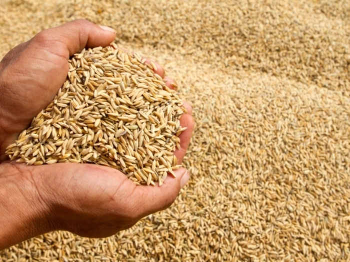 印尼大米价格仍处高位 印尼大米价格仍处高位