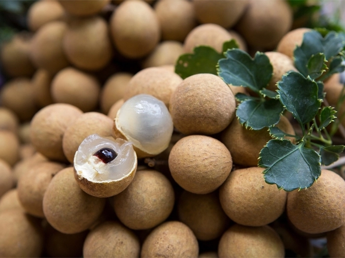 【RCEP财讯】越南龙眼畅销日本 【RCEP财讯】越南龙眼畅销日本