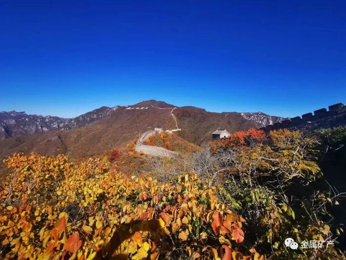 2月21日大宗金属交易市场复盘 2月21日大宗金属交易市场复盘