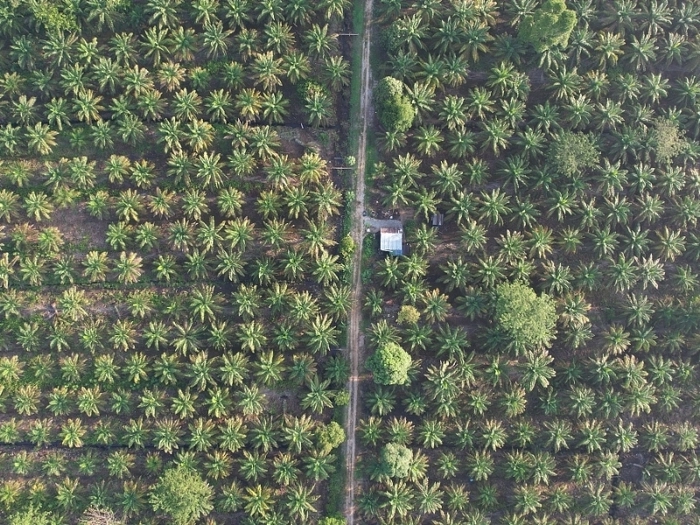 【RCEP财讯】马来西亚森那美产业2022年销售额创新高  达37亿林吉特 【RCEP财讯】马来西亚森那美产业2022年销售额创新高  达37亿林吉特