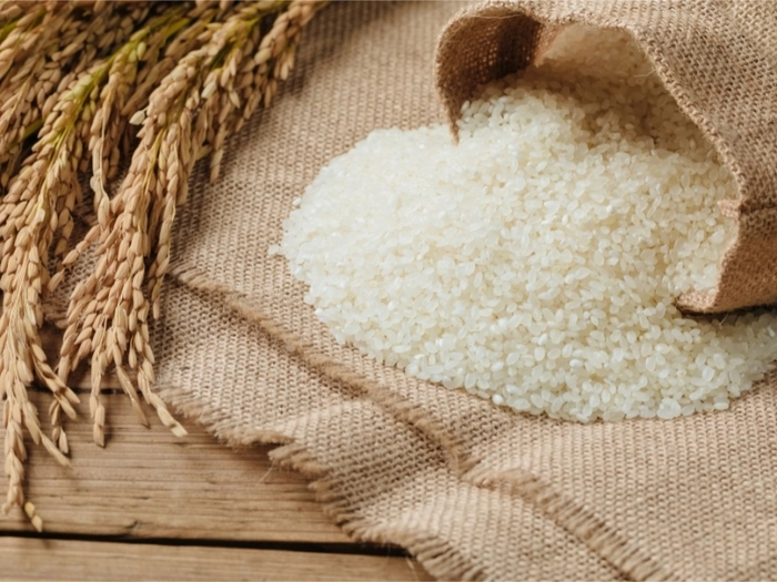 【RCEP财讯】2023年越南可出口700万吨大米 【RCEP财讯】2023年越南可出口700万吨大米