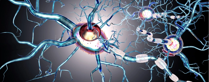 【机构股评】礼来的阿尔茨海默新药第三期数据即将出炉 【机构股评】礼来的阿尔茨海默新药第三期数据即将出炉