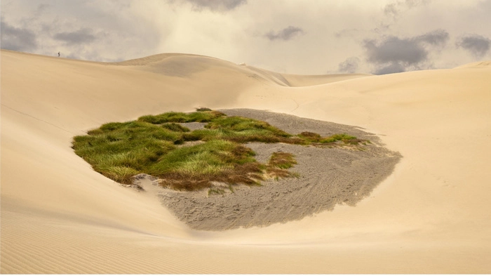 【重点解读】中国神华的麻烦,不仅仅是治沙英雄下跪事件? 【重点解读】中国神华的麻烦,不仅仅是治沙英雄下跪事件?