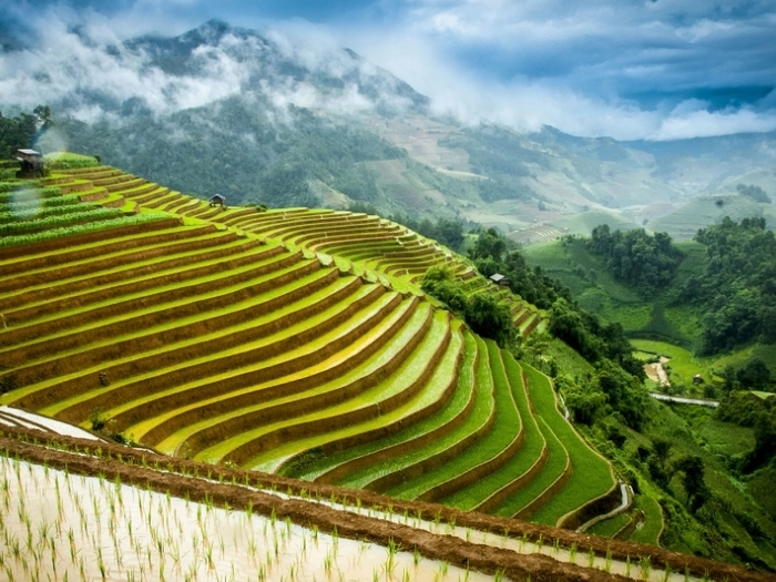 【RCEP财讯】越南2023年第一季度大米出口量增长19% 价值超9亿美元 【RCEP财讯】越南2023年第一季度大米出口量增长19% 价值超9亿美元