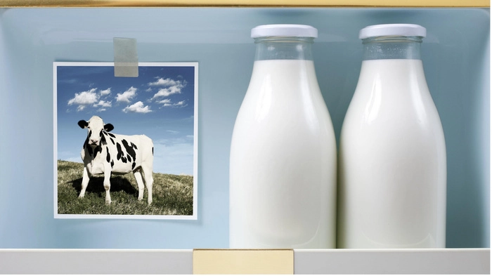 【重点解读】伊利蒙牛,胜负已分? 【重点解读】伊利蒙牛,胜负已分?