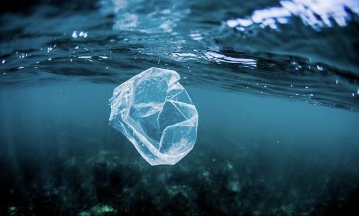 9707776.jpeg 9707776.jpeg