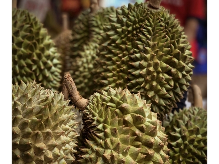 【RCEP财讯】广西与马来西亚贸易额达154.5亿元人民币,同比增长26.23% 【RCEP财讯】广西与马来西亚贸易额达154.5亿元人民币,同比增长26.23%