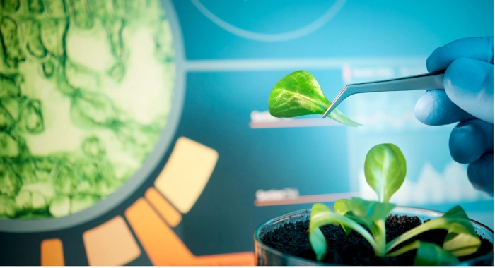 【BT机构股评】生物科技公司Abcam的评级从“跑赢大盘”下调至“与大盘持平” 【BT机构股评】生物科技公司Abcam的评级从“跑赢大盘”下调至“与大盘持平”