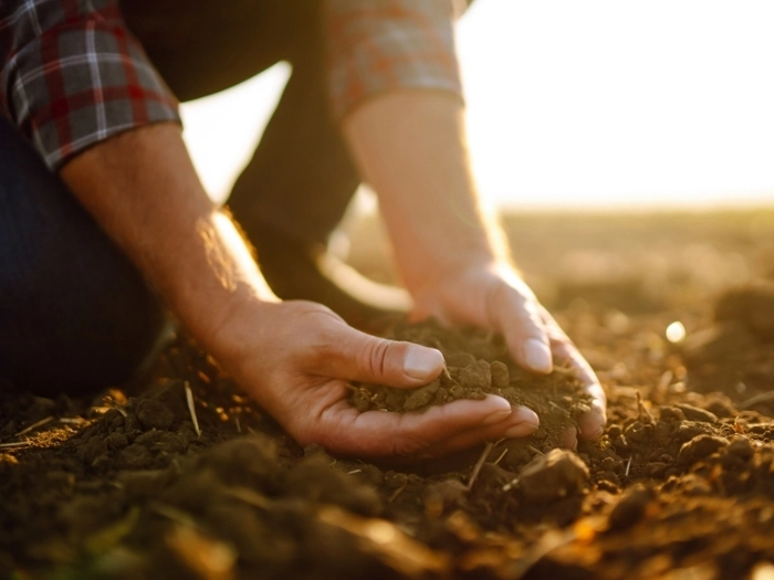【RCEP财讯】越南化肥出口下滑,企业积极开拓新市场 【RCEP财讯】越南化肥出口下滑,企业积极开拓新市场
