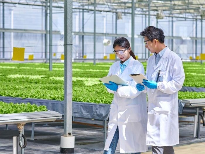 【RCEP财讯】】越南宁顺省从科技农业应用中获益 【RCEP财讯】】越南宁顺省从科技农业应用中获益