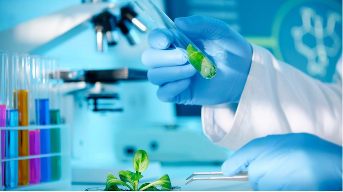 【BT机构股评】植物生物技术公司22世纪(22nd Century)股票评级下调 【BT机构股评】植物生物技术公司22世纪(22nd Century)股票评级下调