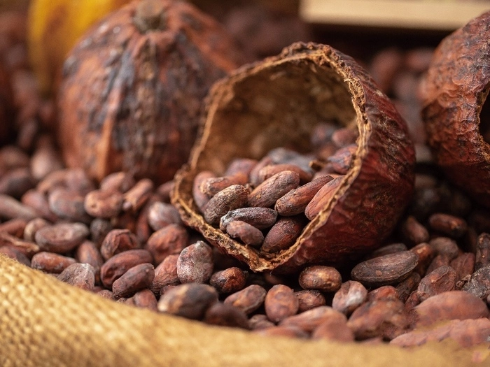 【RCEP财讯】印度尼西亚着眼可可产业下游加工 【RCEP财讯】印度尼西亚着眼可可产业下游加工