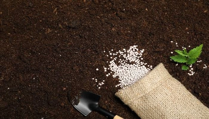 【RCEP财讯】越南8月份化肥进口量创两年新高 【RCEP财讯】越南8月份化肥进口量创两年新高