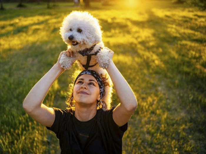 【RCEP财讯】新政策助力宠物保险市场扩张,宠物登记迎来创新 【RCEP财讯】新政策助力宠物保险市场扩张,宠物登记迎来创新