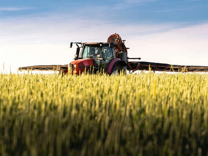 【RCEP财讯】高粱和玉米或成印尼应对气候变化的替代主食 【RCEP财讯】高粱和玉米或成印尼应对气候变化的替代主食