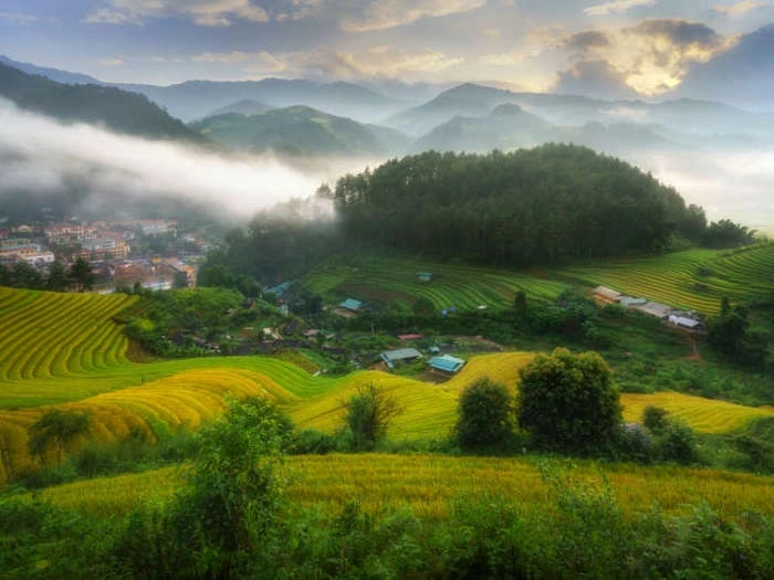 【RCEP财讯】印尼政府加强大米储备,确保国内供应 【RCEP财讯】印尼政府加强大米储备,确保国内供应