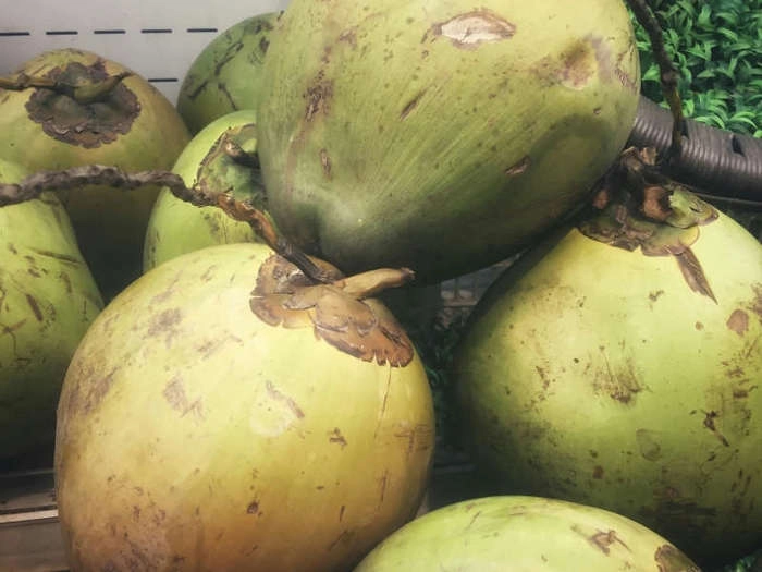 【RCEP财讯】南椰子产业望进一步扩大,中国市场或将开启新机遇 【RCEP财讯】南椰子产业望进一步扩大,中国市场或将开启新机遇