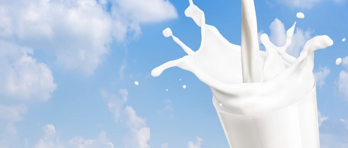 【财报深度解读】谁来挑战蒙牛和伊利 【财报深度解读】谁来挑战蒙牛和伊利