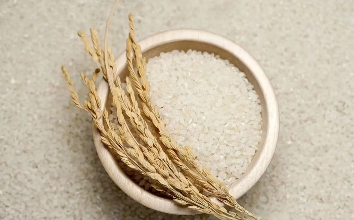 【RCEP财讯】柬埔寨稻米出口创新高,2024年1月同比增长25.2% 【RCEP财讯】柬埔寨稻米出口创新高,2024年1月同比增长25.2%