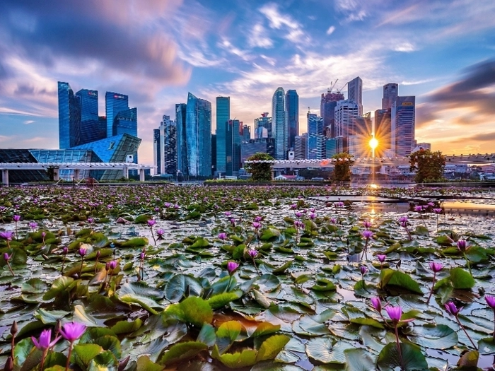 【RCEP财讯】尽管GDP低于预期,分析师仍预测新加坡经济增长稳定 【RCEP财讯】尽管GDP低于预期,分析师仍预测新加坡经济增长稳定