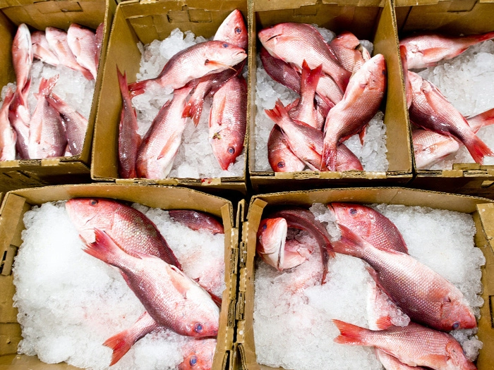 【RCEP财讯】越南水产品今年1月至3月出口收入近20亿美元 【RCEP财讯】越南水产品今年1月至3月出口收入近20亿美元