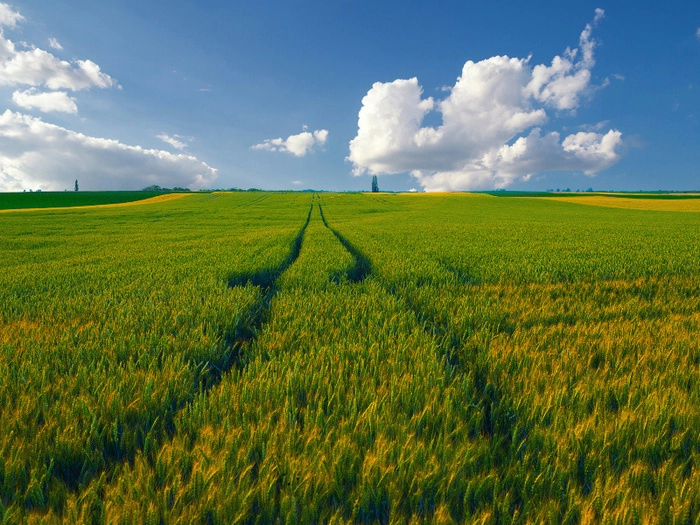 【RCEP财讯】印尼开展粉煤灰研究项目以提高农作物产量 【RCEP财讯】印尼开展粉煤灰研究项目以提高农作物产量