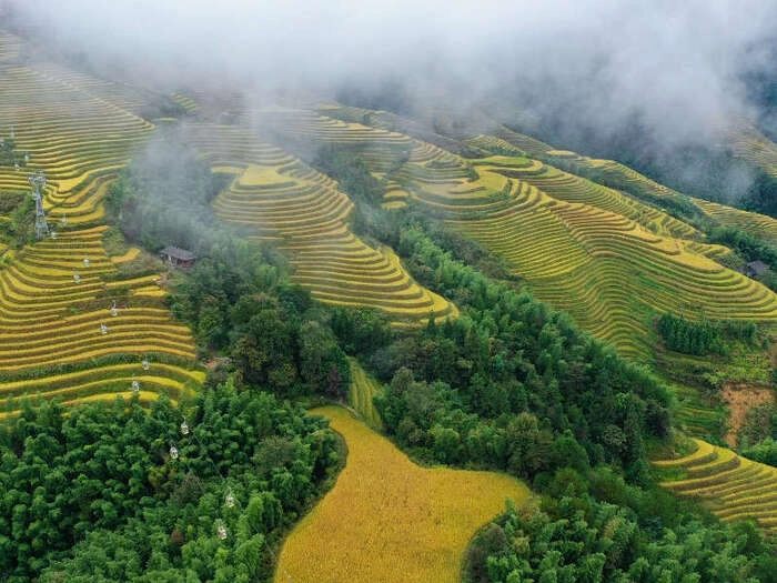 【RCEP财讯】印度尼西亚预计管理2024年财政赤字,超支情况或高于之前预期 【RCEP财讯】印度尼西亚预计管理2024年财政赤字,超支情况或高于之前预期