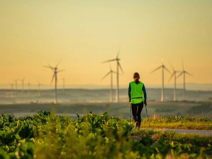 【RCEP财讯】新加坡应加大可再生能源投资,以实现能源转型和净零排放目标 【RCEP财讯】新加坡应加大可再生能源投资,以实现能源转型和净零排放目标