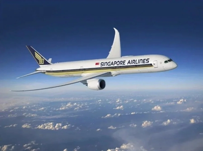 【RCEP财讯】新航遭遇乱流事故后股价波动 【RCEP财讯】新航遭遇乱流事故后股价波动