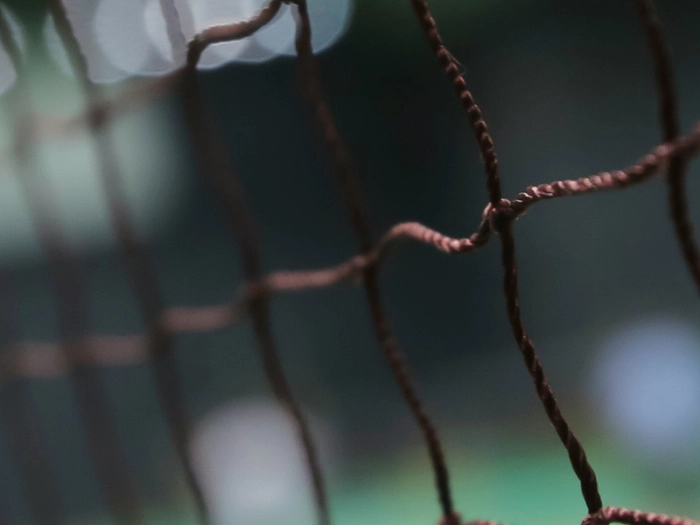 【RCEP资讯】马来西亚大师赛中国选手王祉怡夺冠 【RCEP资讯】马来西亚大师赛中国选手王祉怡夺冠