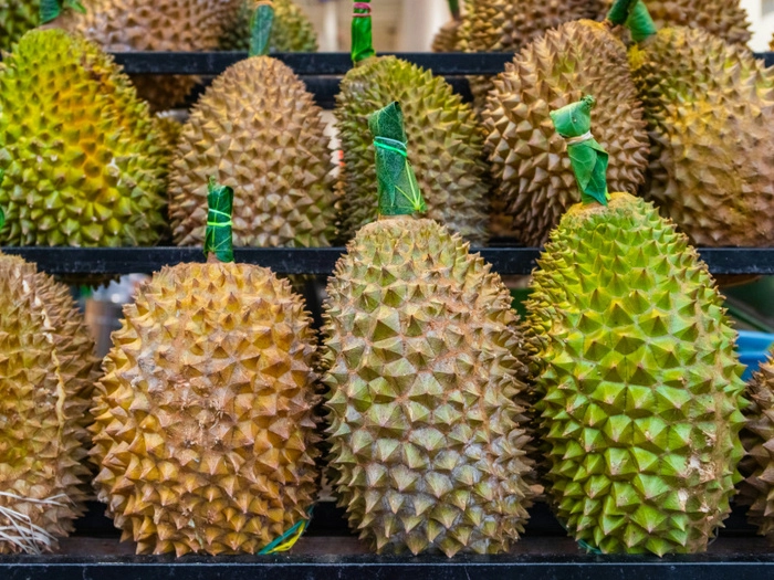 【RCEP财讯】马来西亚榴梿输华新规正式实施:符合条件即日起进口 【RCEP财讯】马来西亚榴梿输华新规正式实施:符合条件即日起进口