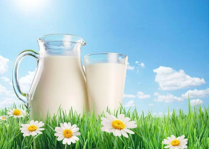 【RCEP财讯】印尼农业部推动奶山羊养殖以增加产奶量