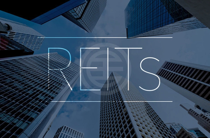 新加坡REIT在高利率环境下的资产调整策略 新加坡REIT在高利率环境下的资产调整策略