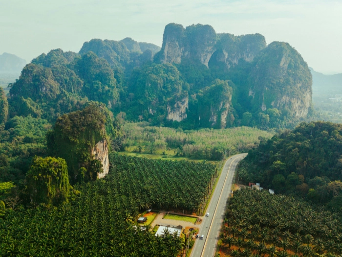 【RCEP财讯】印尼棕榈油出口税收创15.88万亿卢比收入 【RCEP财讯】印尼棕榈油出口税收创15.88万亿卢比收入