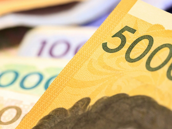 【RCEP财讯】韩国政府计划2025年国家预算增至677.4万亿韩元,维持适度增长与紧缩政策 【RCEP财讯】韩国政府计划2025年国家预算增至677.4万亿韩元,维持适度增长与紧缩政策