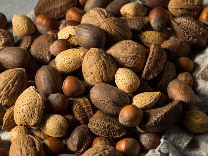 【RCEP财讯】柬埔寨生腰果产量激增 成全球第二大出口国 【RCEP财讯】柬埔寨生腰果产量激增 成全球第二大出口国