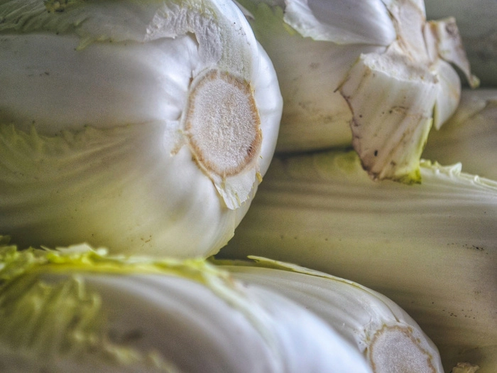 【RCEP财讯】韩国首批进口16吨大白菜以稳定市场价格 【RCEP财讯】韩国首批进口16吨大白菜以稳定市场价格