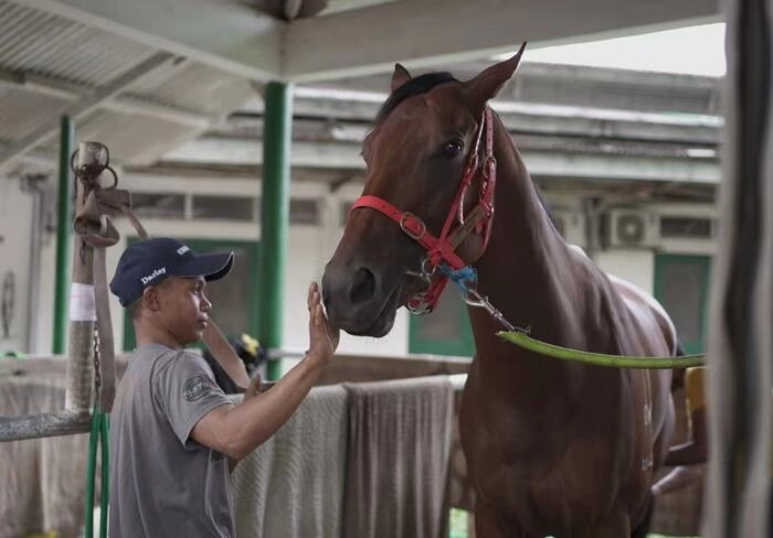 专访詹学龙:马背上的赛手,驭风也驭心 专访詹学龙:马背上的赛手,驭风也驭心