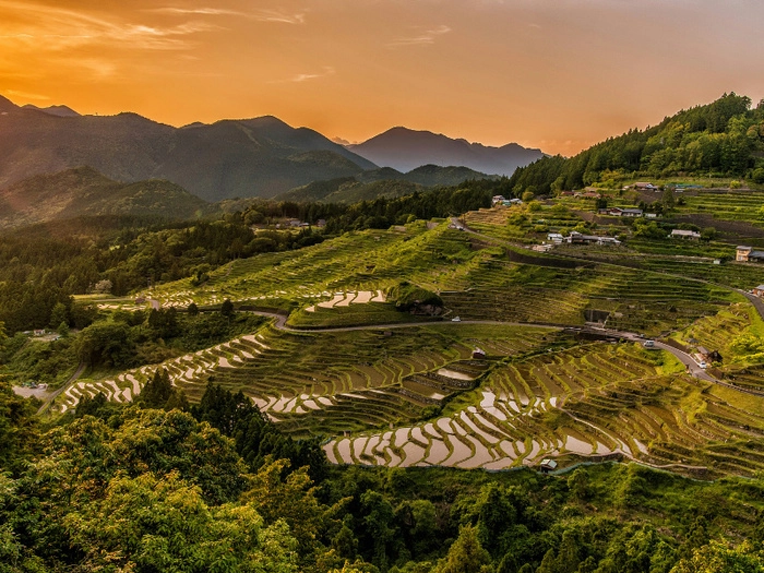 【RCEP财讯】柬埔寨前三季度稻米出口达445,913吨  收入约3.35亿美元 【RCEP财讯】柬埔寨前三季度稻米出口达445,913吨  收入约3.35亿美元