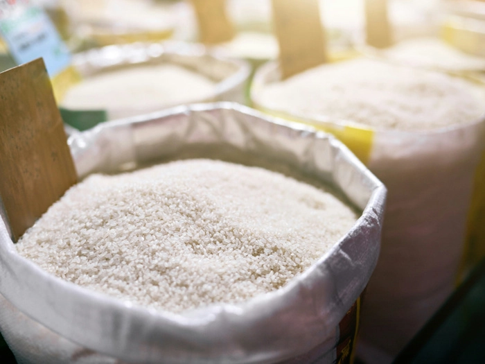 【RCEP财讯】印度取消非巴斯马蒂白米出口限制:菲律宾米价有望下跌 【RCEP财讯】印度取消非巴斯马蒂白米出口限制:菲律宾米价有望下跌